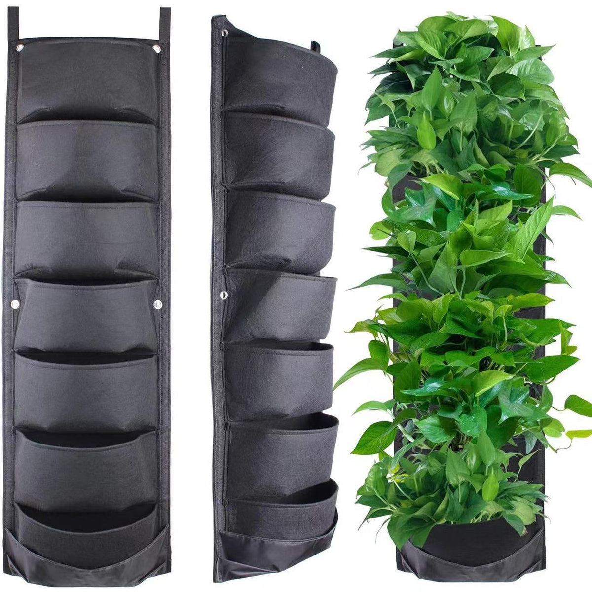 Wall Hanging Plant Grow Ba