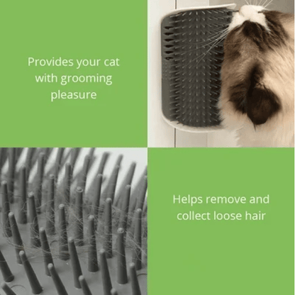 Cat Self Grooming Massage Toy Brush