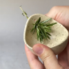Last Day 49 %OFF-Pottery Herb Stripper
