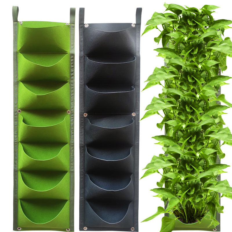 Wall Hanging Plant Grow Ba