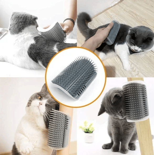 Cat Self Grooming Massage Toy Brush
